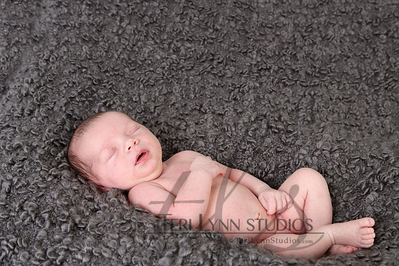 O_018