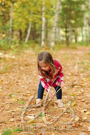 P3_043